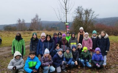 Baumpflanzaktion 2025