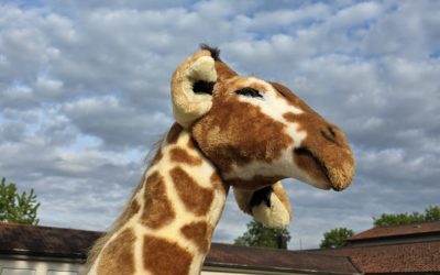 Giraffenstarkes 🦒 Musikfest