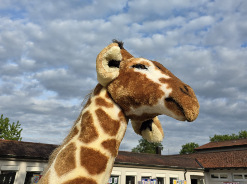 Giraffenstarkes 🦒 Musikfest