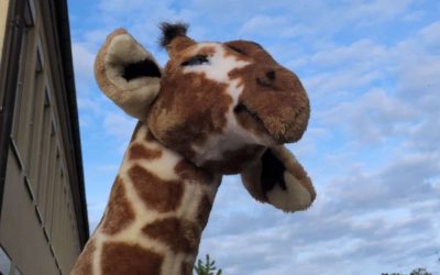 Giraffenstarkes 🦒 Musikfest