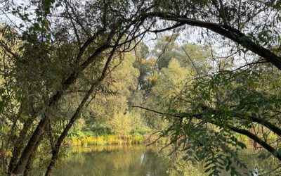 Wandertag im Spätsommer