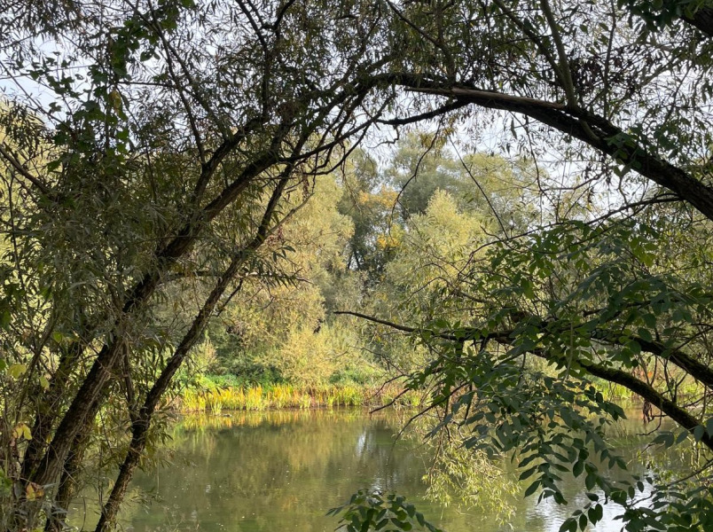Wandertag im Spätsommer